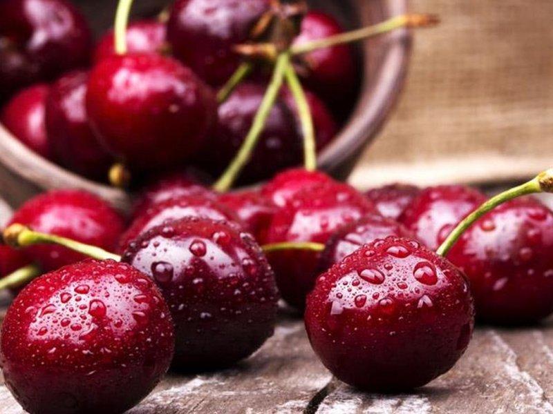 Вишня купить саженцы из питомника в Пушкино
